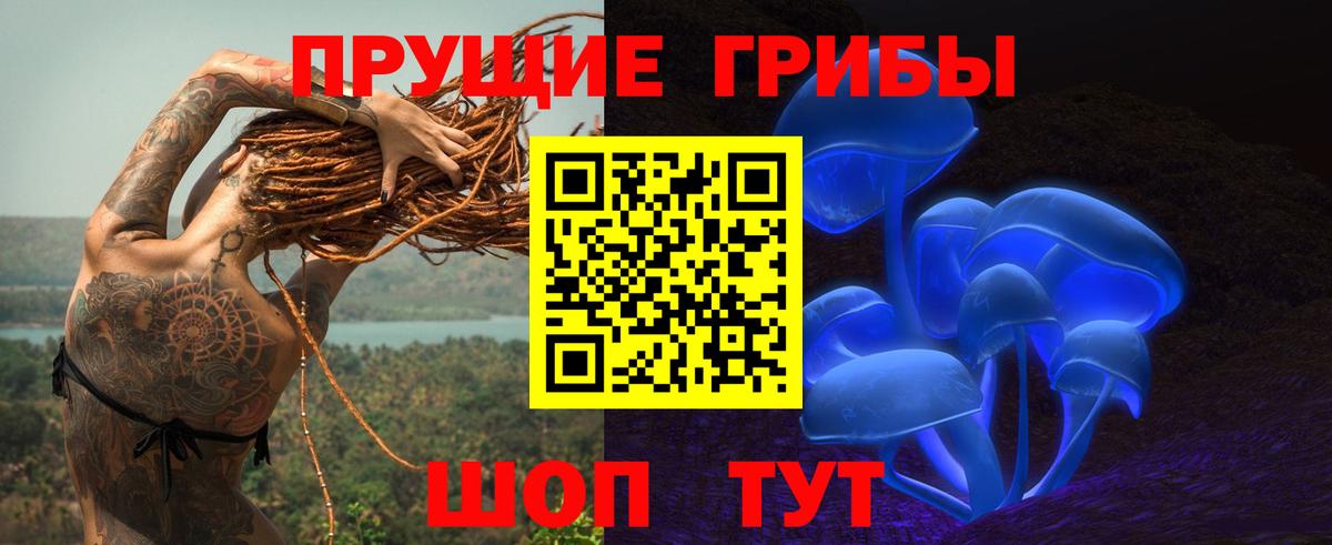 Галлюциногенные грибы Cubensis Владикавказ