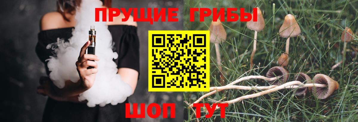 Владикавказ  Псилоцибиновые грибы Psilocybe  Вход с VPN 